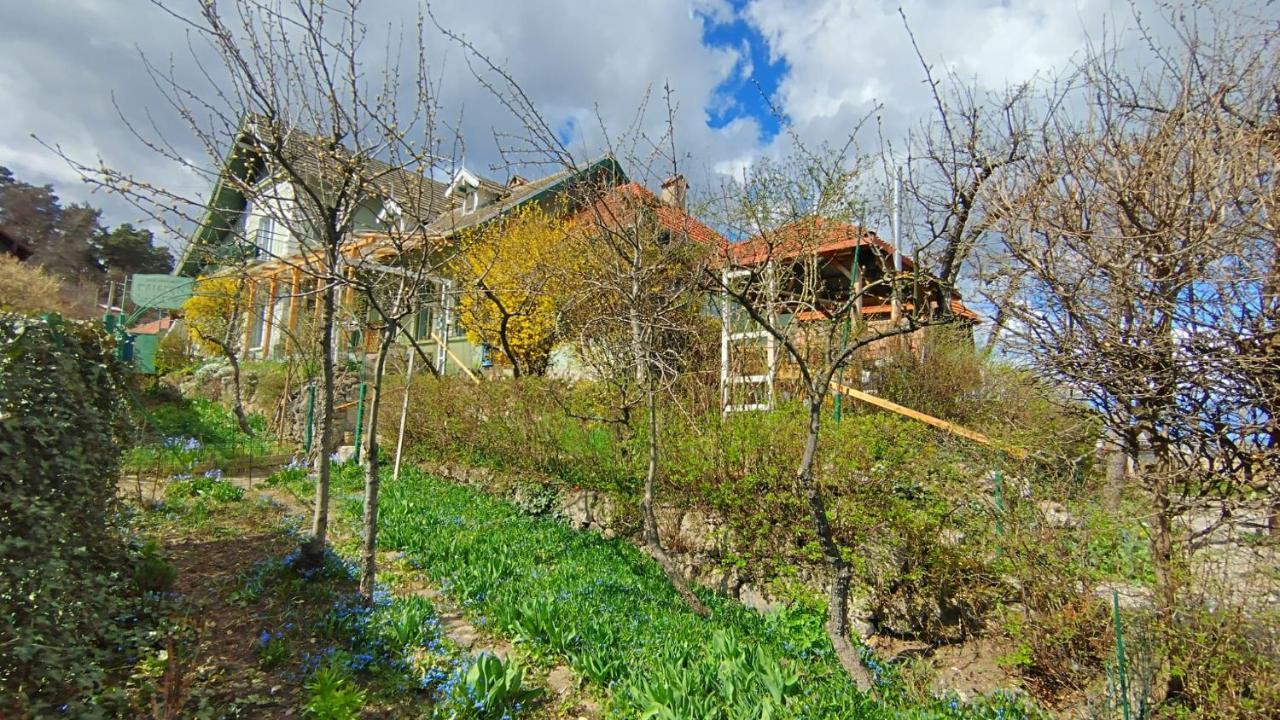 Villa Kuschmann บราชอฟ ภายนอก รูปภาพ