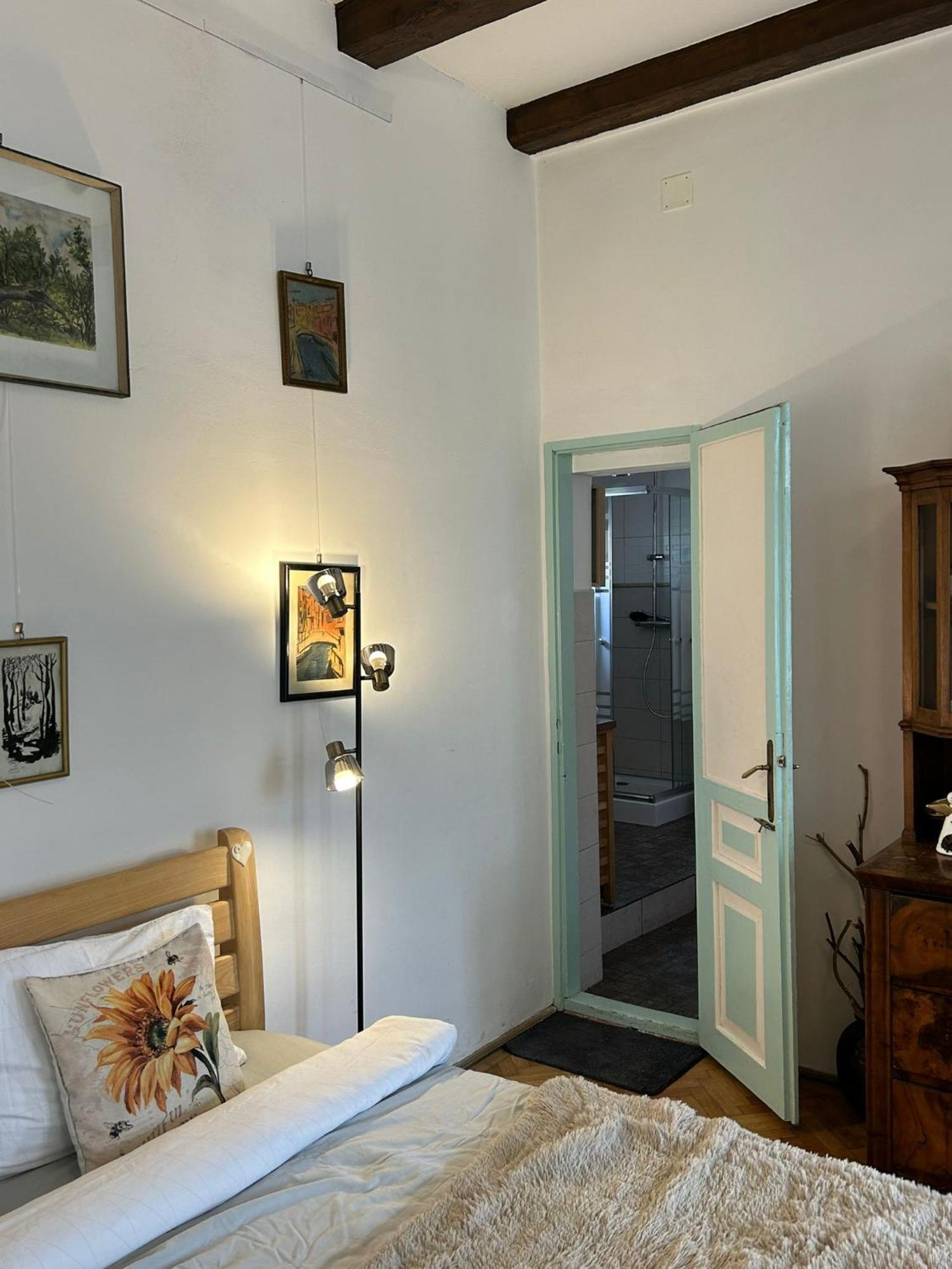 Villa Kuschmann บราชอฟ ภายนอก รูปภาพ