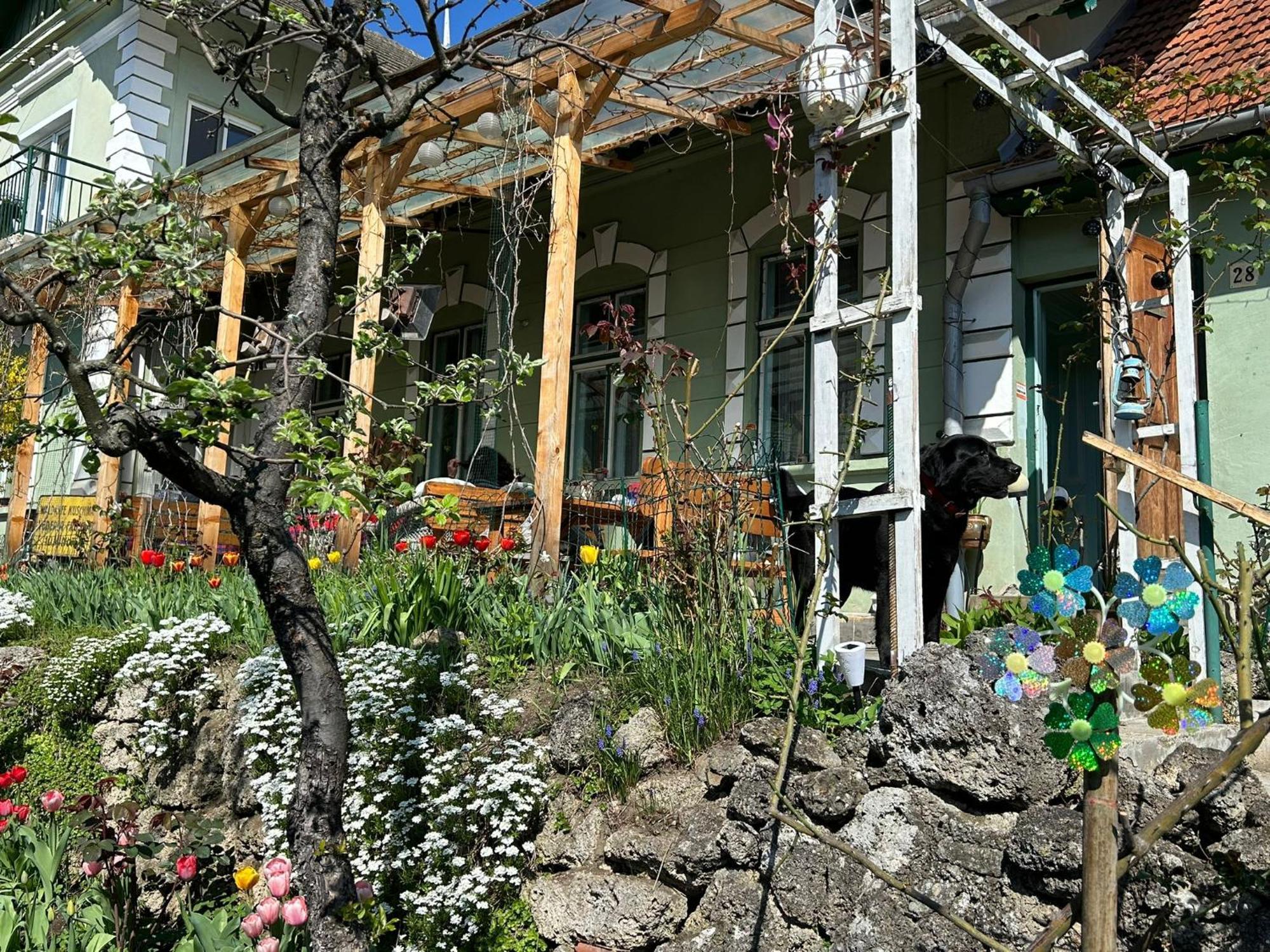Villa Kuschmann บราชอฟ ภายนอก รูปภาพ