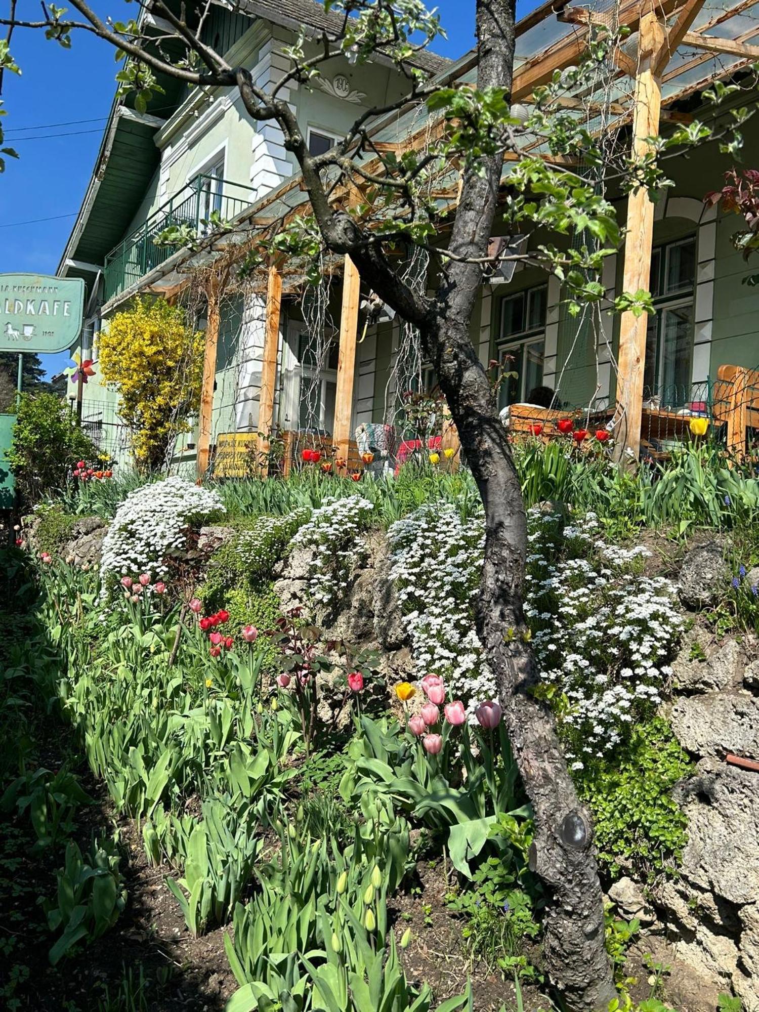 Villa Kuschmann บราชอฟ ภายนอก รูปภาพ